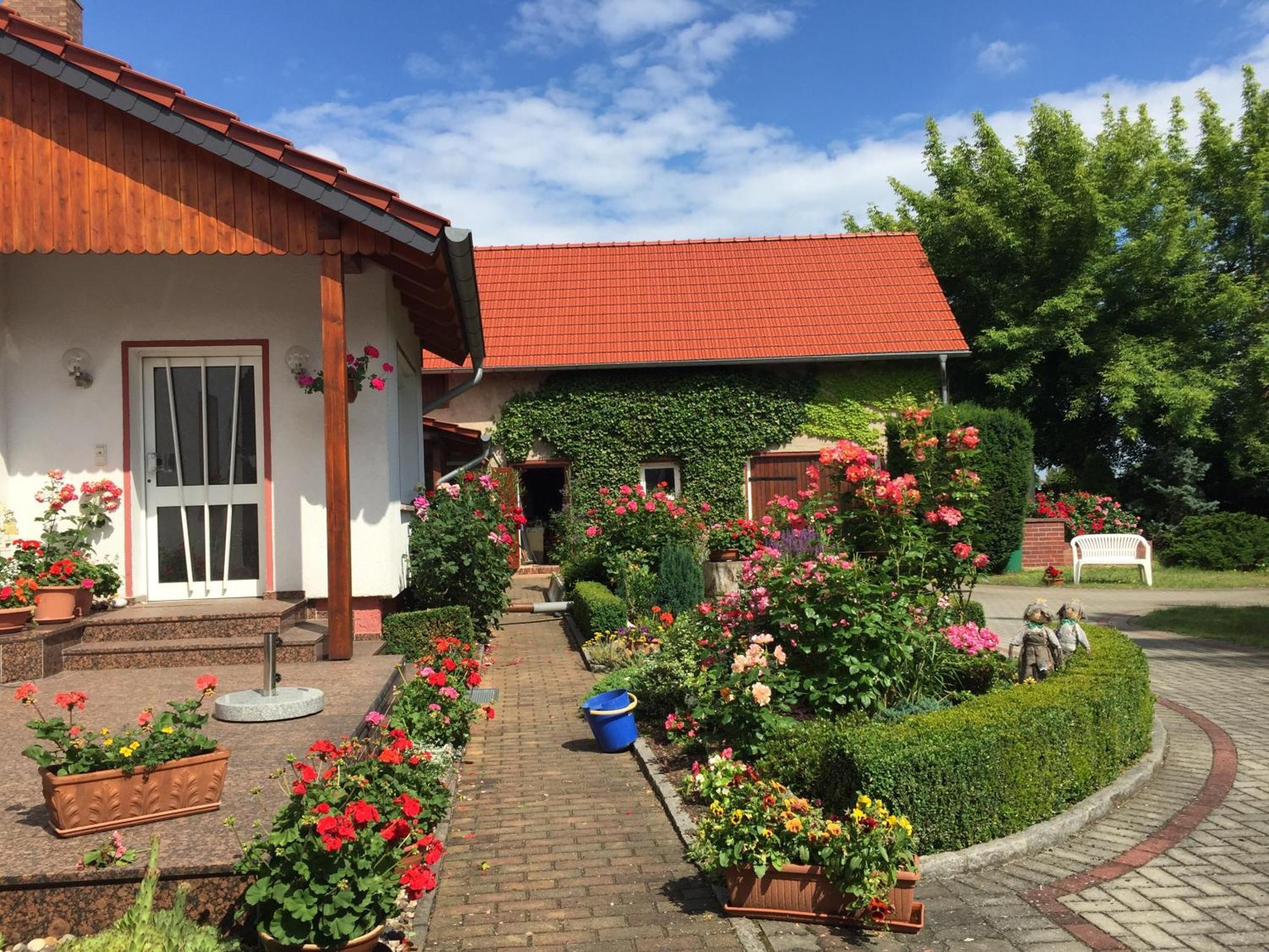 Top-Moderne Ferienwohnung Und Apartments Auf Frueherem Wunderschoenen Bauernhof Im Elbe-Elster-Kreis In Brandenburg Bei Herzberg-Elster, Schoenewalde, Holzdorf Exterior foto